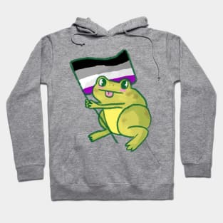 asexual visibility frog Hoodie